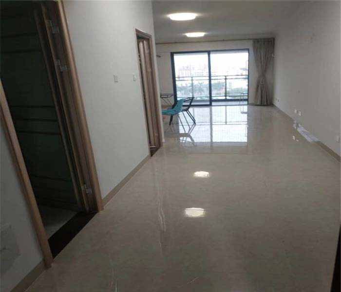 公明村委統(tǒng)建樓:蔣石花園