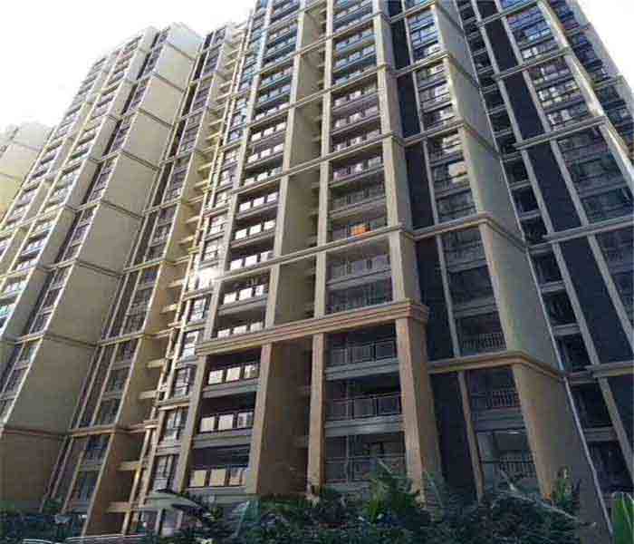 公明村委統(tǒng)建樓:蔣石花園