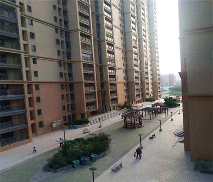 公明村委統(tǒng)建樓:蔣石花園