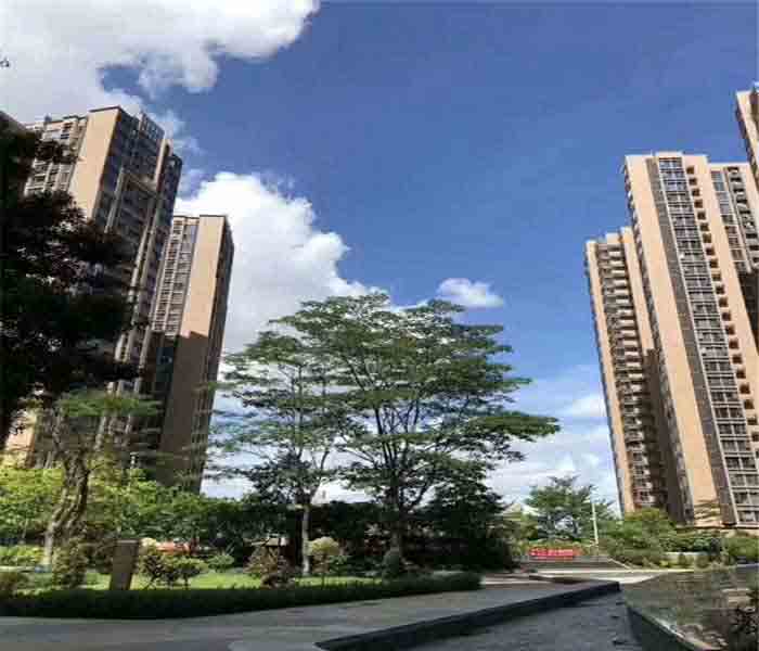 松崗村委統(tǒng)建樓:匯豐花園