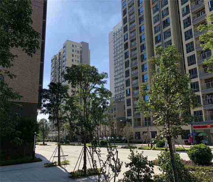 松崗村委統(tǒng)建樓:匯豐花園