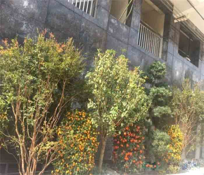 <a href=/dalingshan/ target=_blank class=infotextkey>大嶺山小產(chǎn)權房</a>出售:御湖雅居