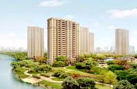 南頭村委統(tǒng)建樓-麒麟學(xué)府四棟花園房，精裝修家電，拎包入住